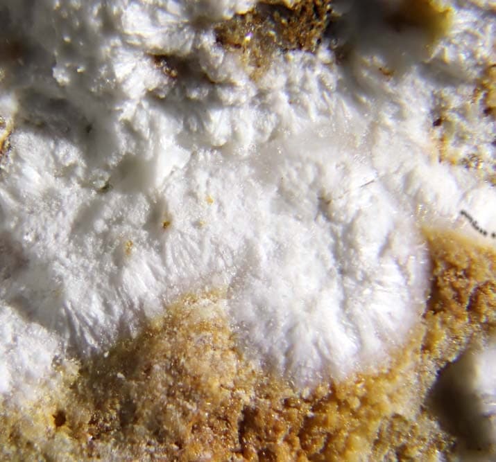 Aldermanite mineral