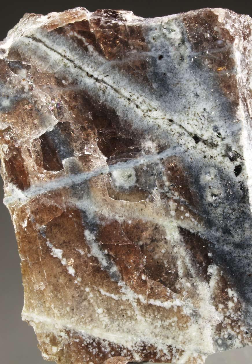 Alumoåkermanite mineral — RM2444 alumoakermanite