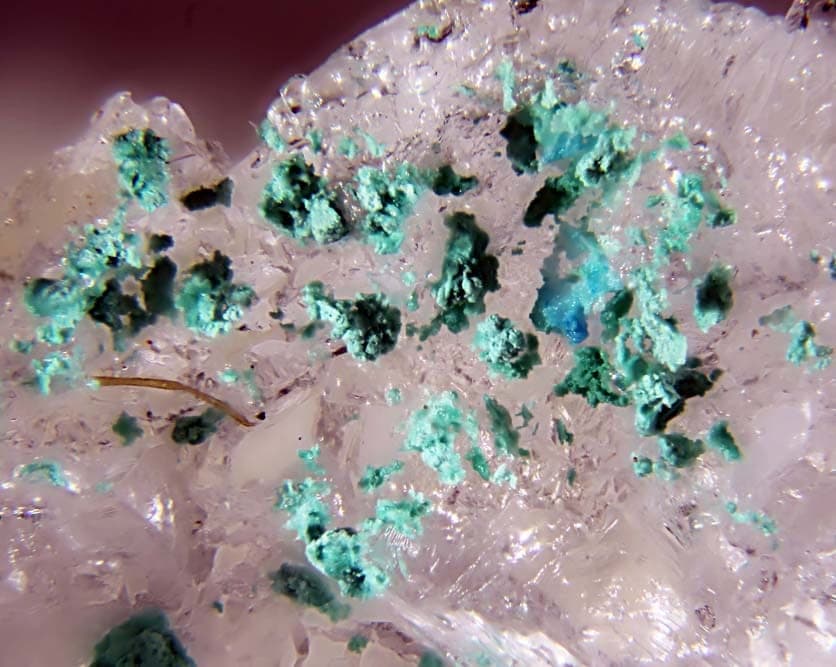 Ammineite mineral