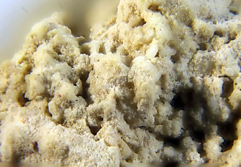 Ammonioalunite mineral