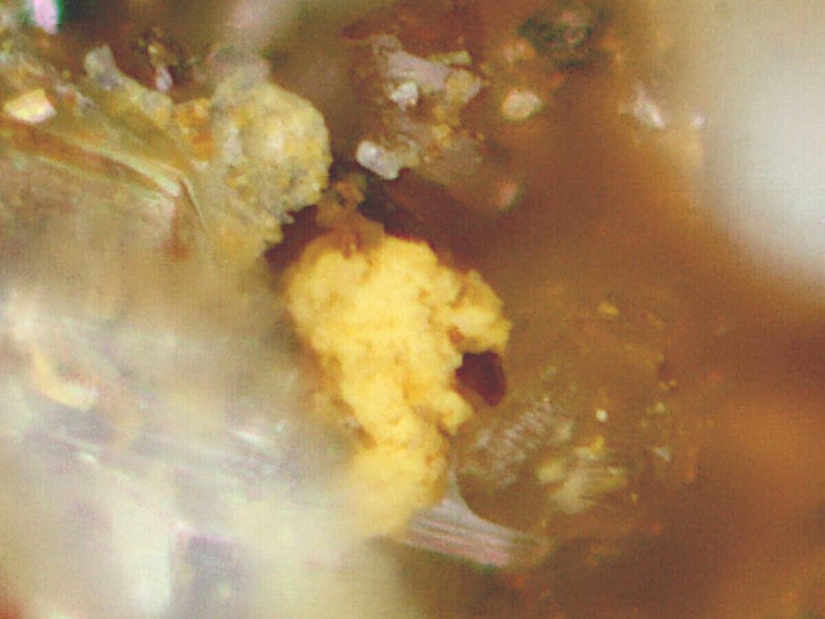 Ammoniojarosite mineral
