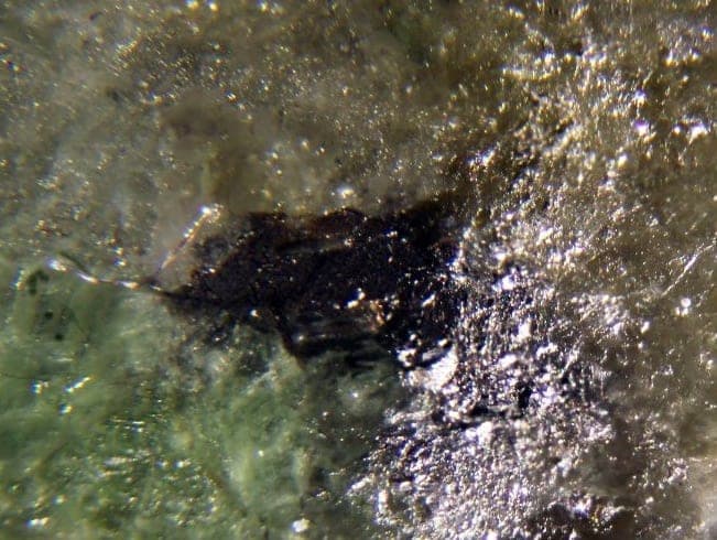 Anduoite mineral