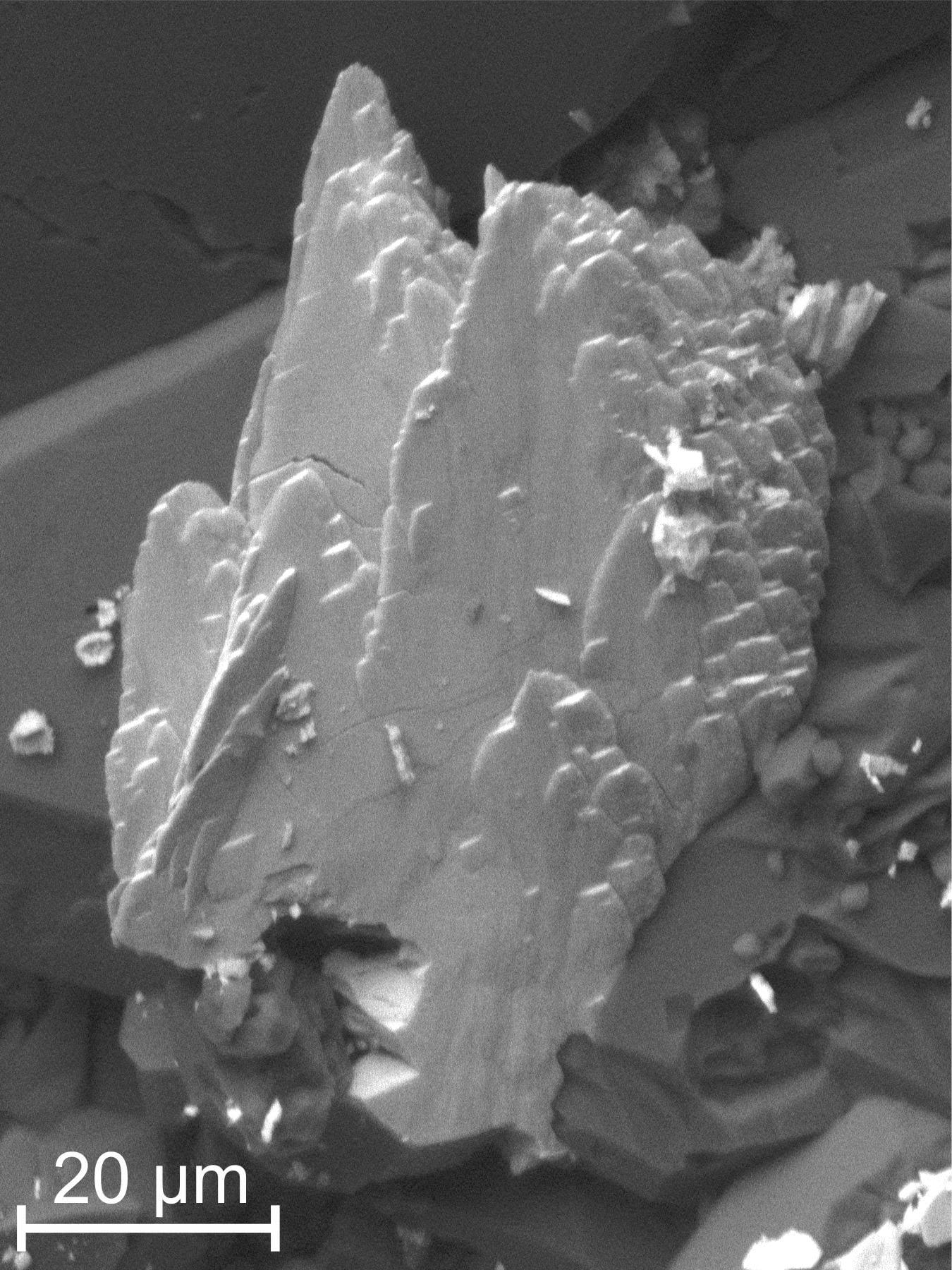 Andychristyite mineral