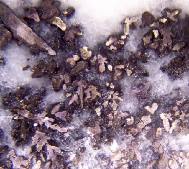 Argentopentlandite mineral