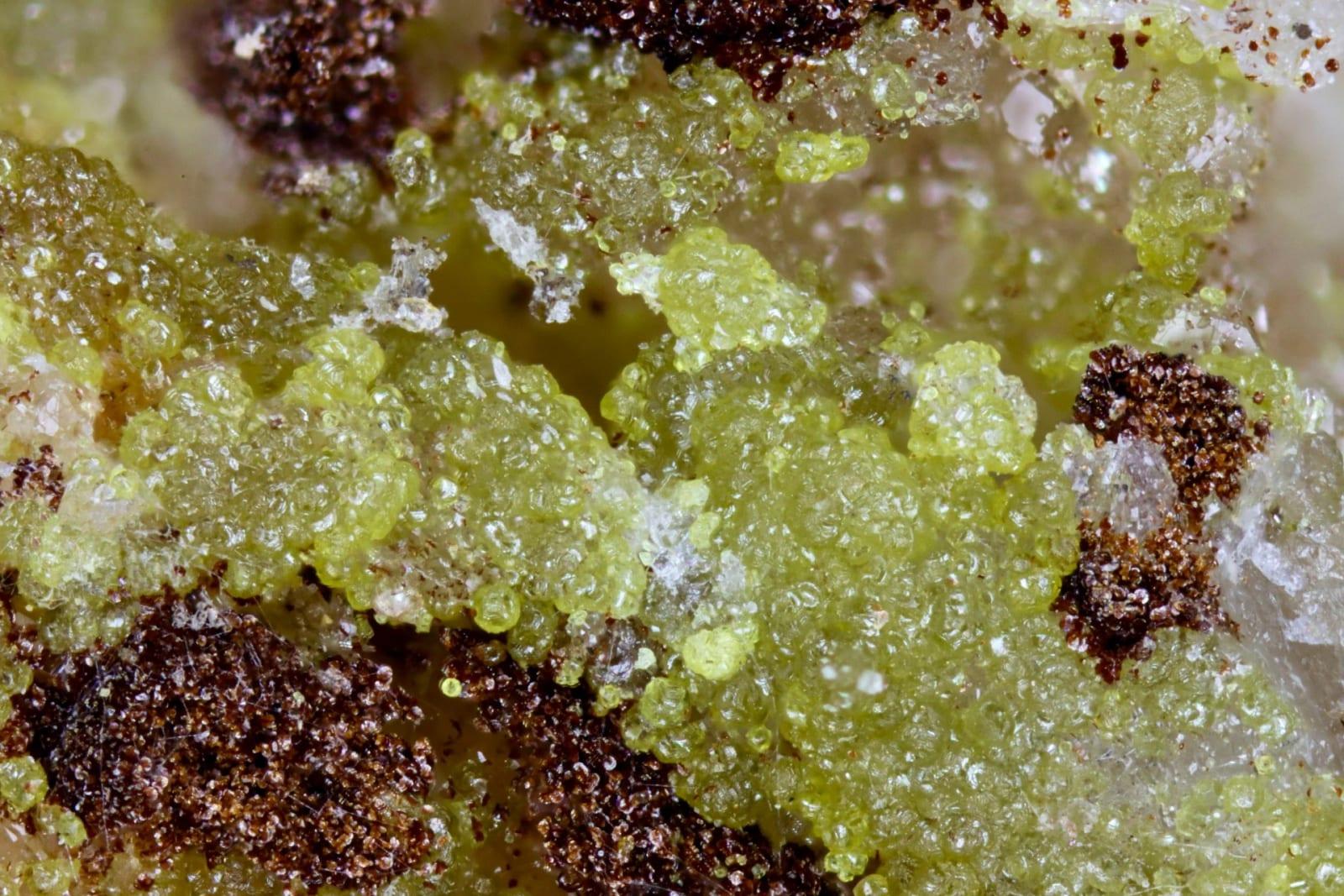 Arsenoflorencite-(Ce) mineral — Arsenoflorencite (Ce)