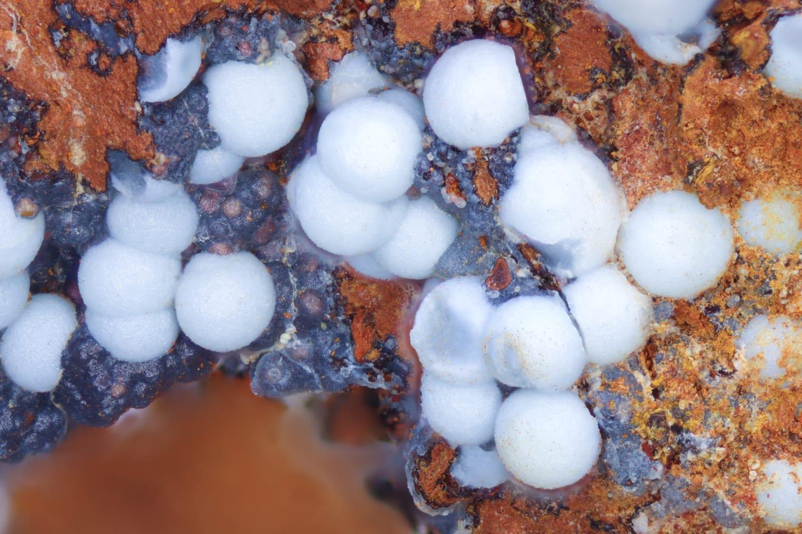 Arsenogoyazite mineral