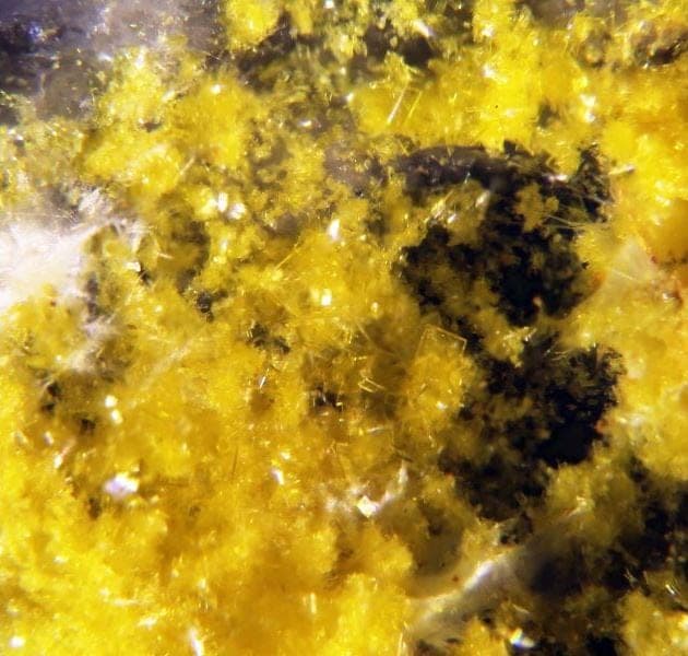 Arsenuranylite mineral