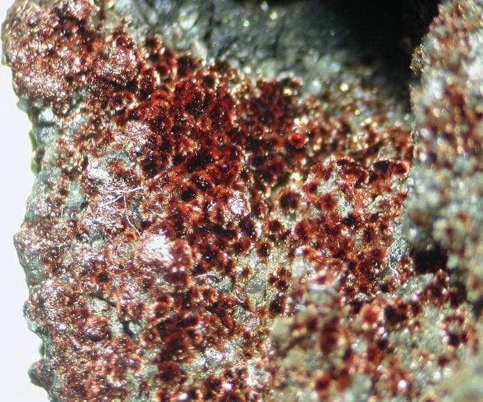 Barnesite mineral