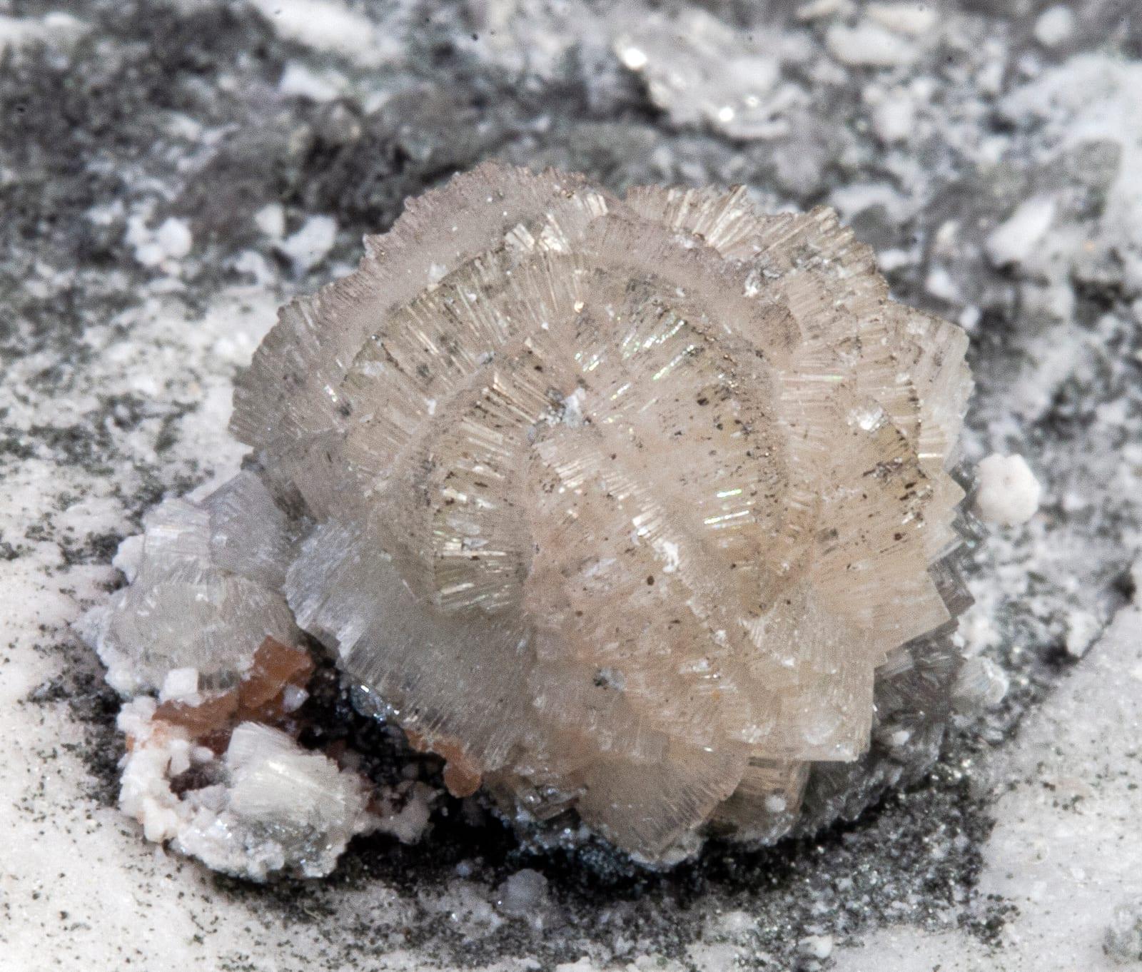 Bavenite mineral