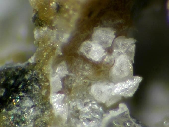 Bellbergite mineral