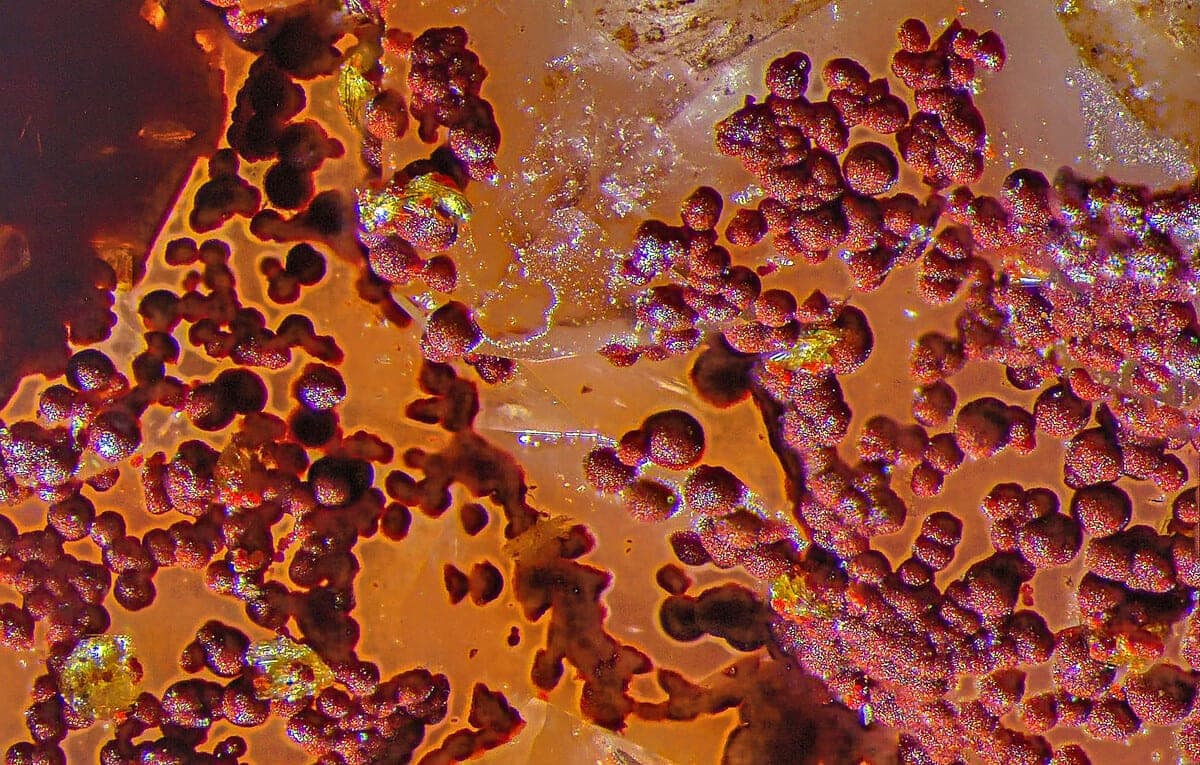 Benauite mineral