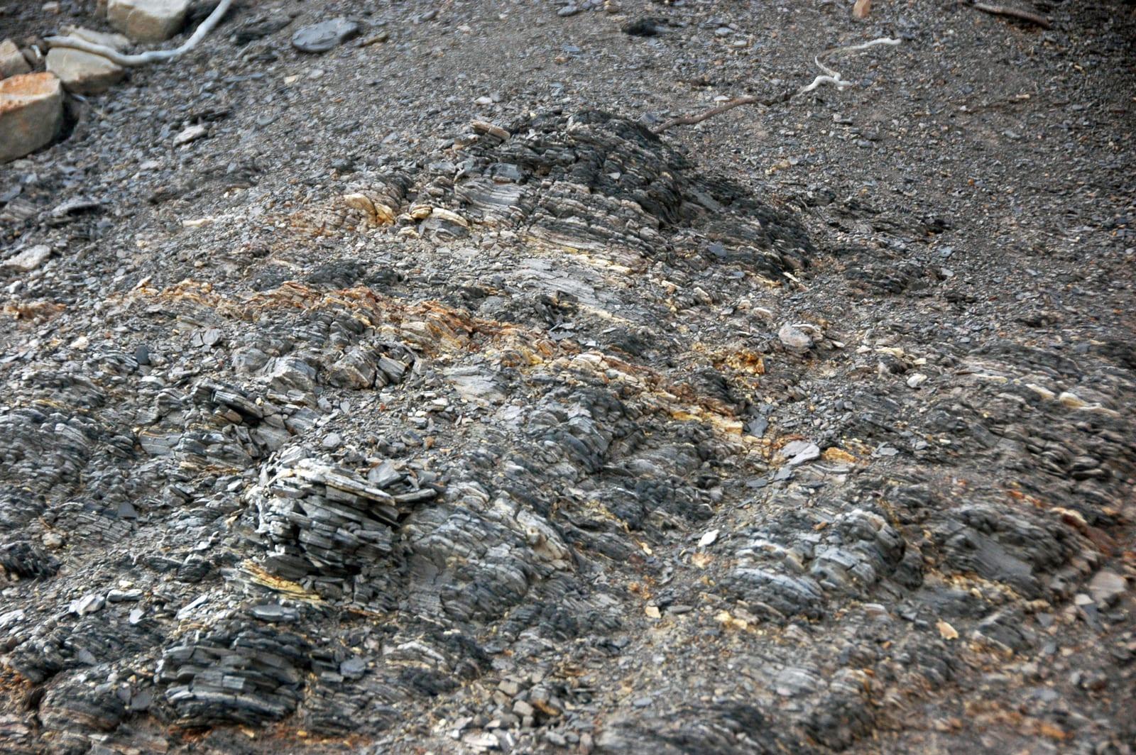 Bentonite sedimentary