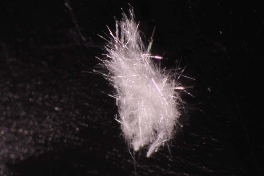 Biehlite mineral
