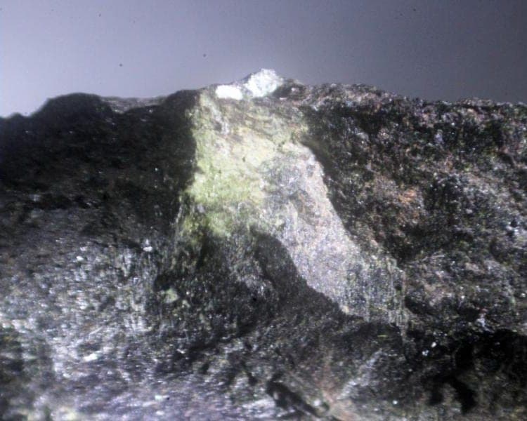 Bobfergusonite mineral
