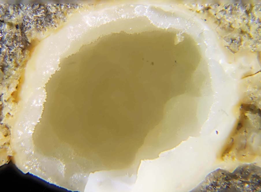 Boggsite mineral