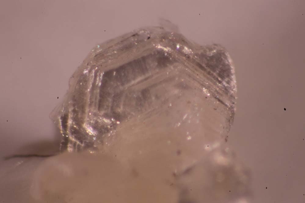 Borocookeite mineral