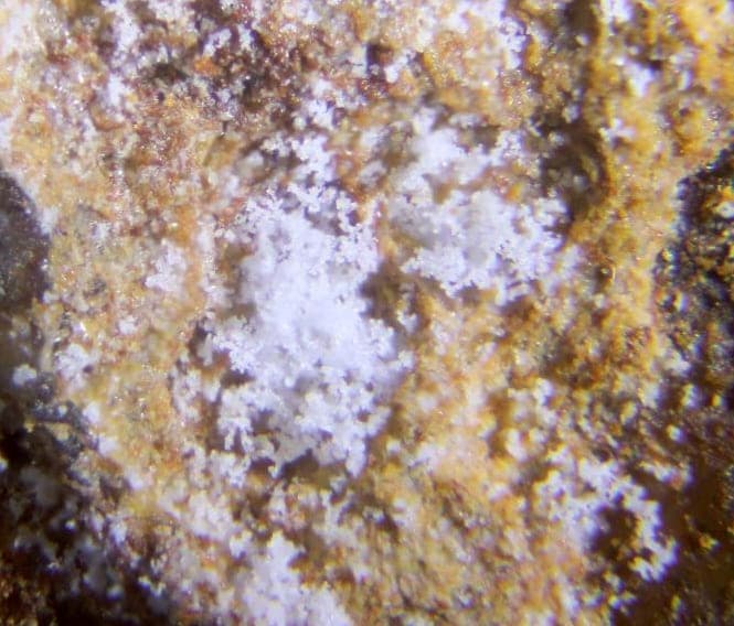 Boyleite mineral
