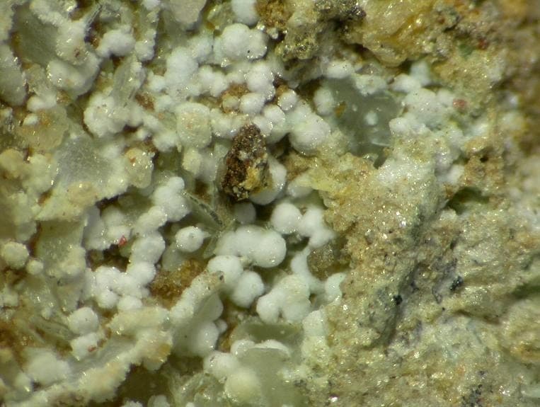 Brianyoungite mineral