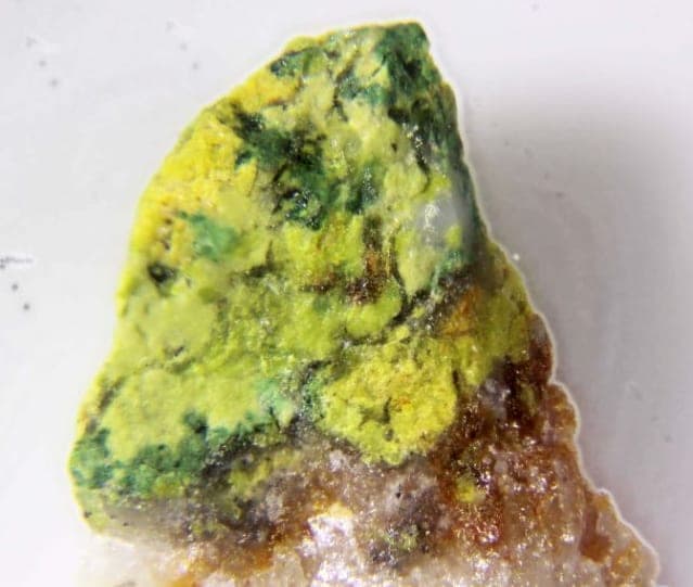 Brindleyite mineral