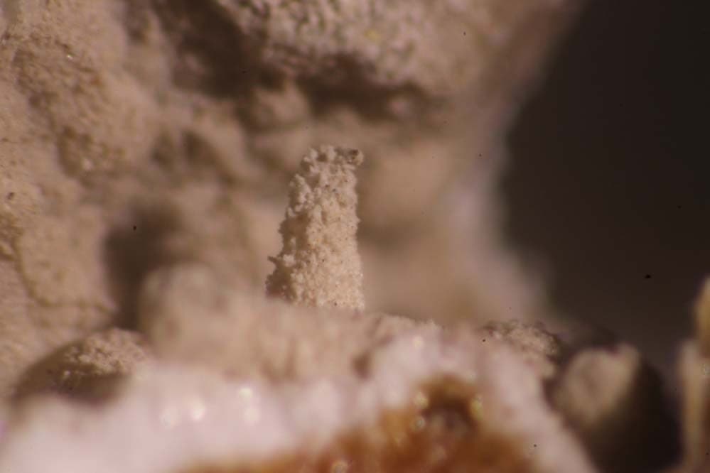 Brizziite mineral