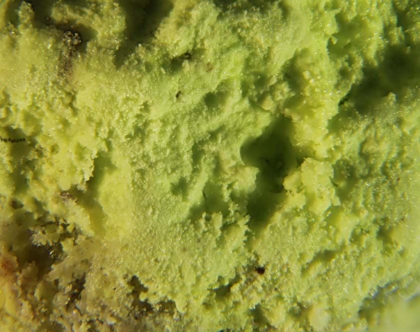Cadwaladerite mineral
