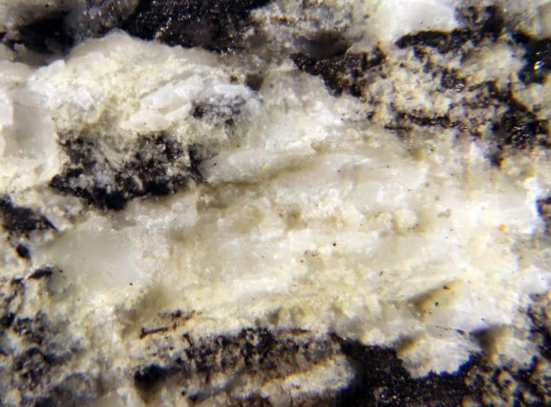Calciotantite mineral