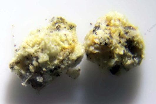 Calkinsite-(Ce) mineral — Calkinsite (Ce)
