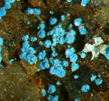 Camérolaite mineral