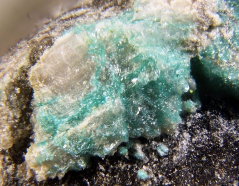 Campigliaite mineral