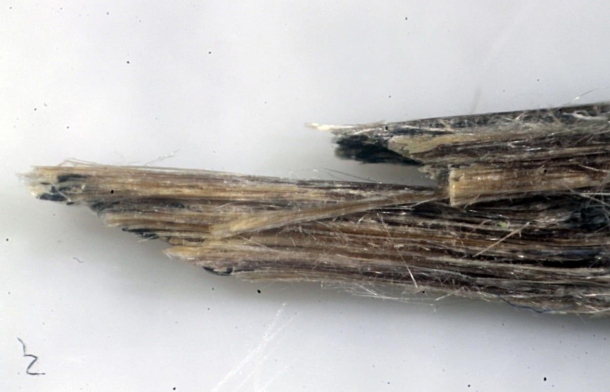 Carlosturanite mineral