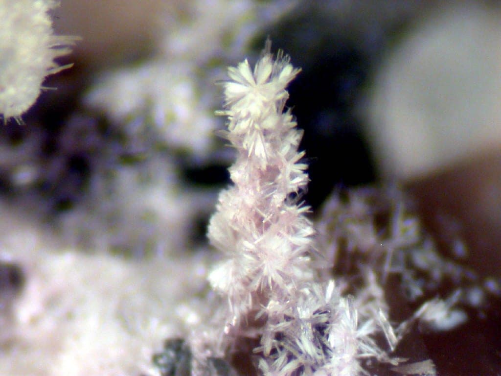 Cascandite mineral