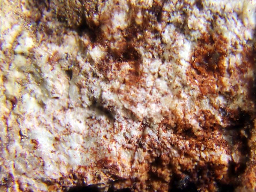 Caysichite-(Y) mineral — Caysichite (Y)
