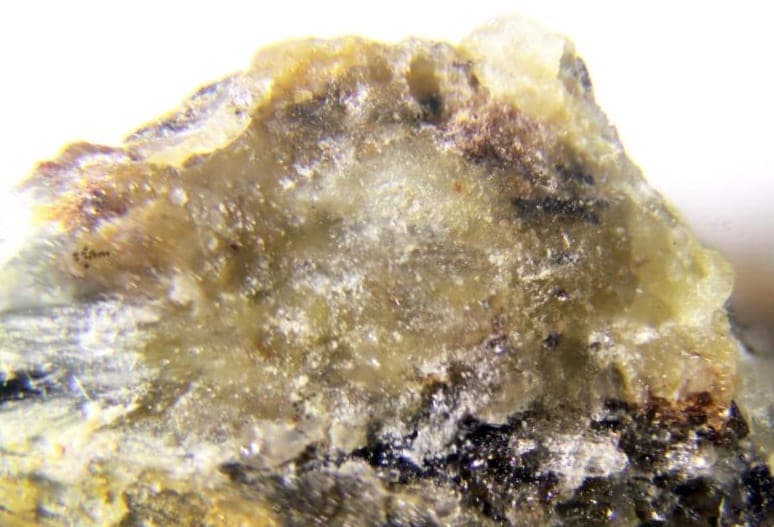 Cebollite mineral