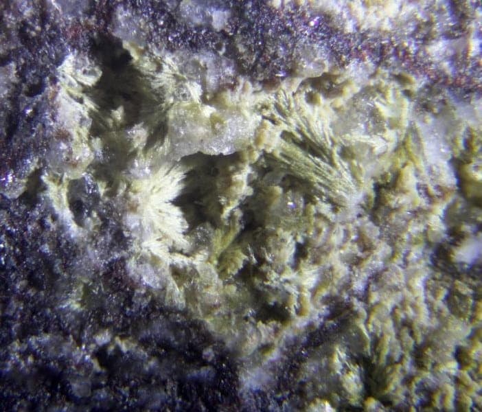 Cerchiaraite-(Fe) mineral — Cerchiaraite (Fe)