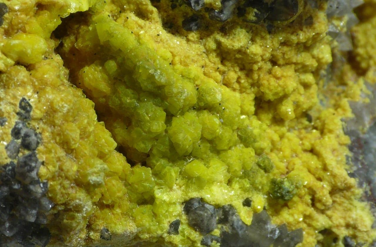 Chernikovite mineral