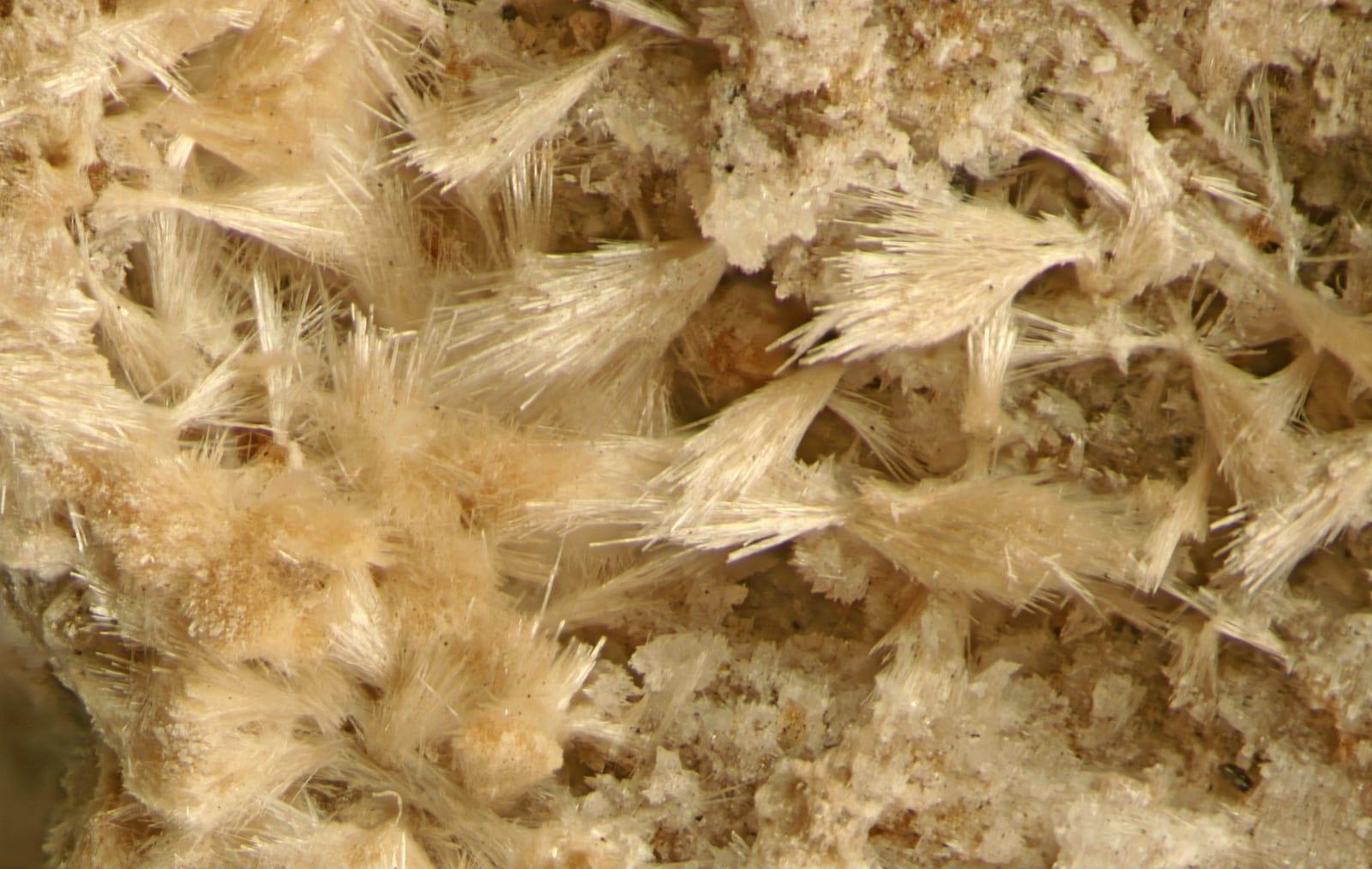 Chlorophoenicite mineral