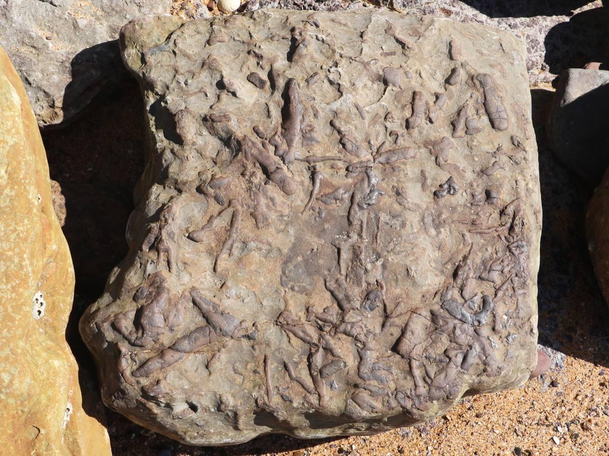 Claystone gemstone