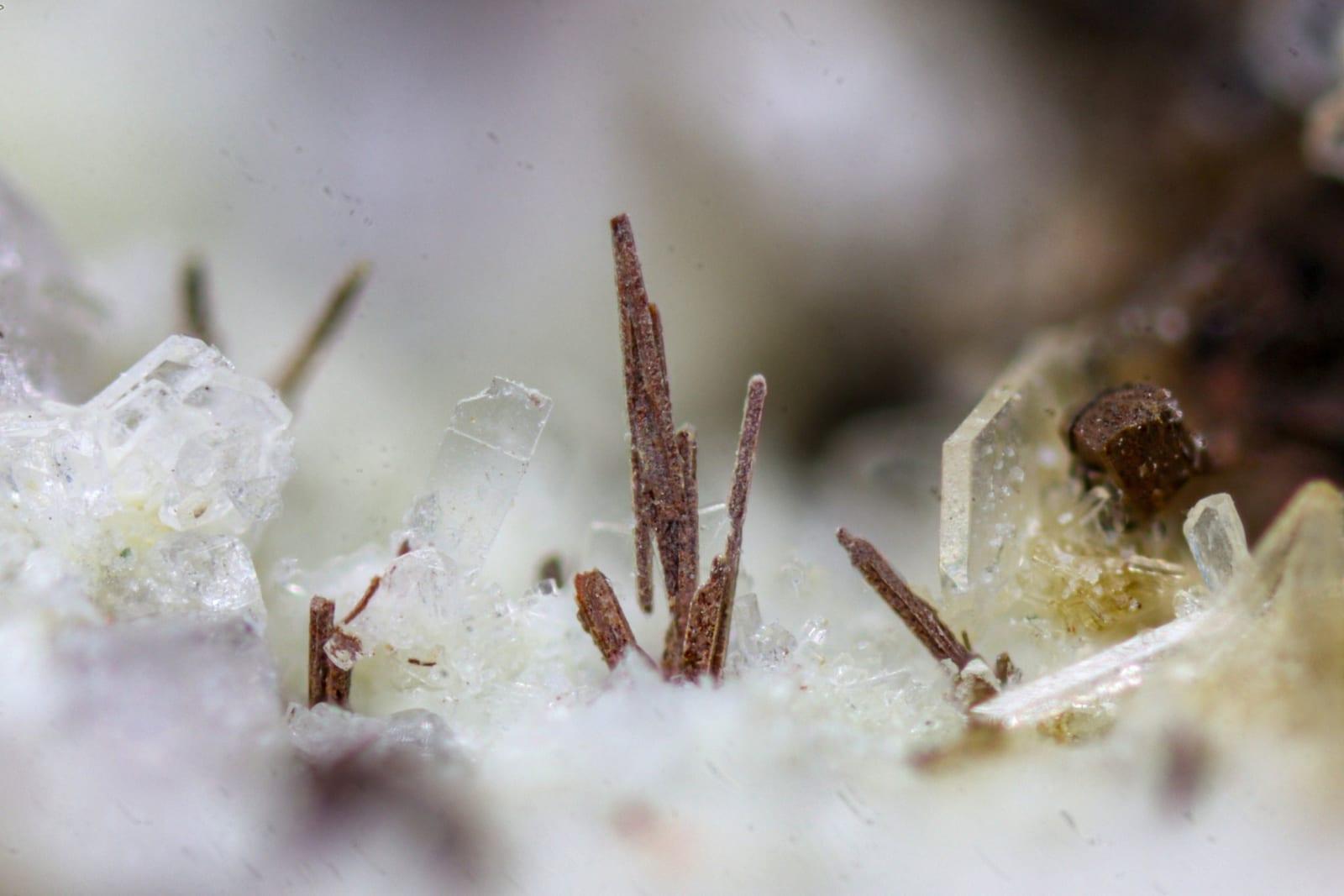 Clinoferrosilite mineral