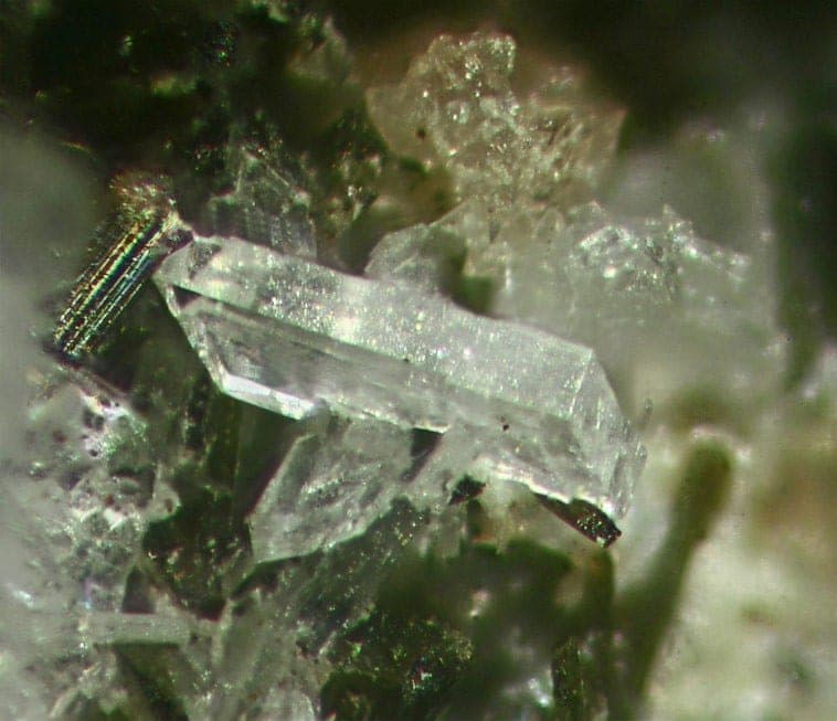 Clinoptilolite-K mineral — Clinoptilolite K 169623