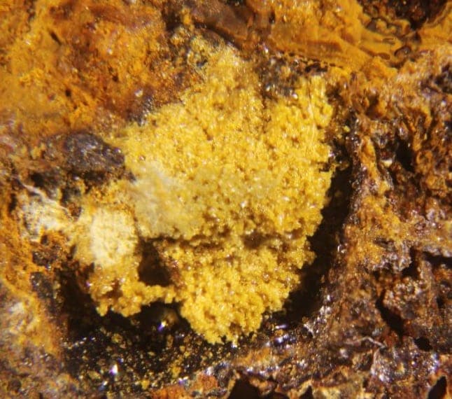 Clinoungemachite mineral