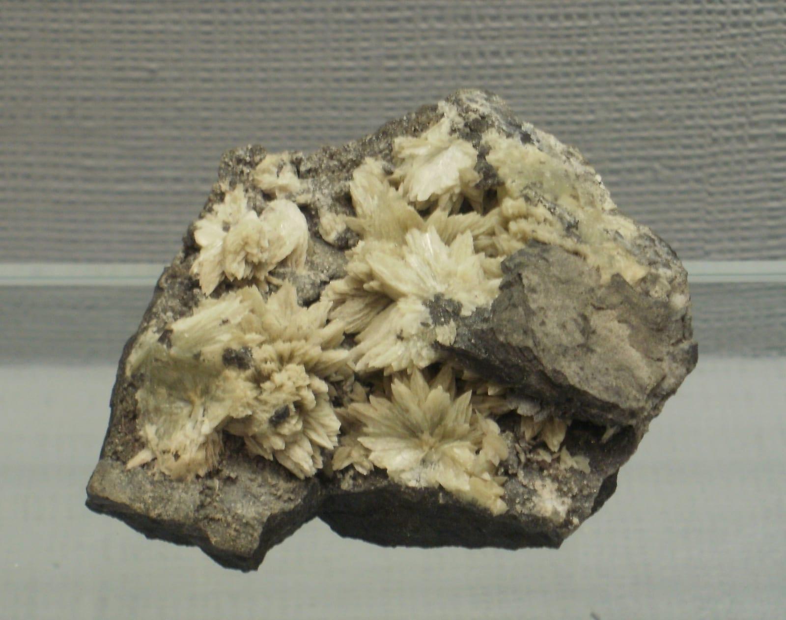 Collinsite mineral