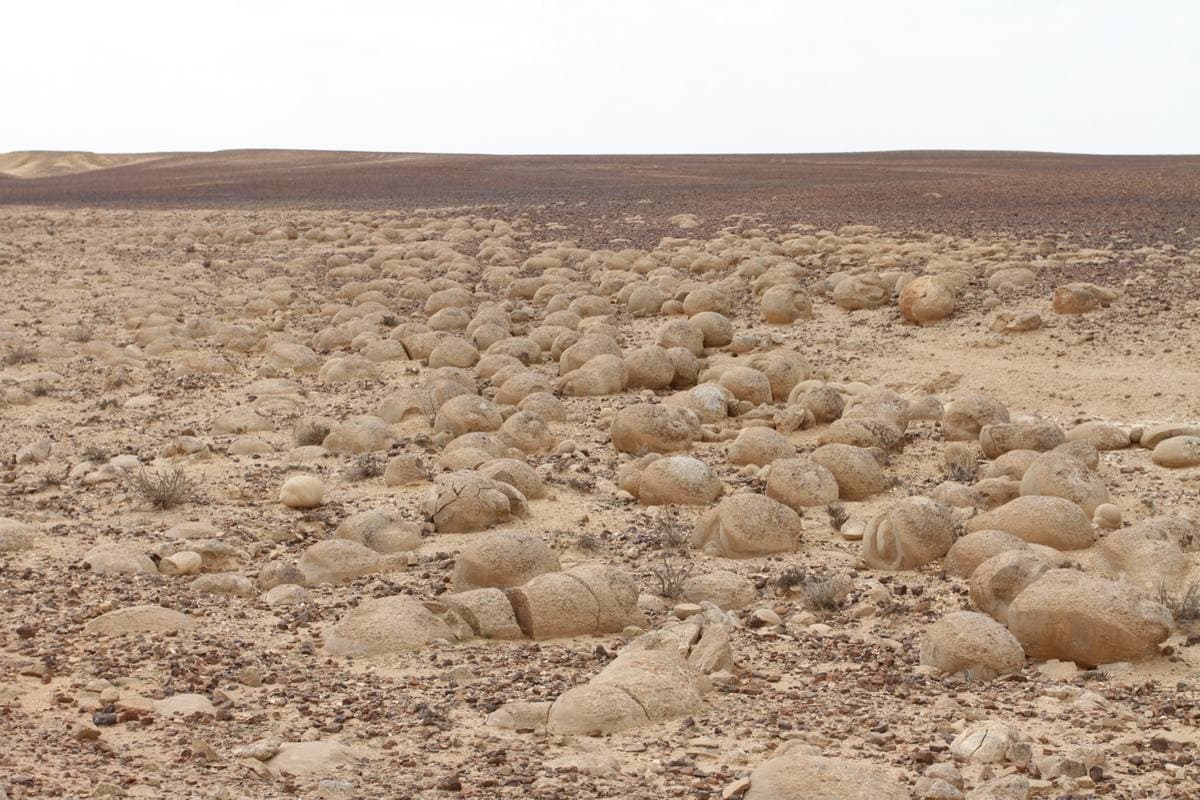 Concretions With Fossils gemstone