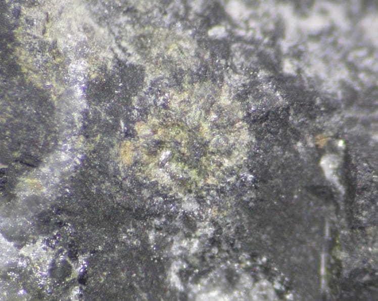 Cortesognoite mineral