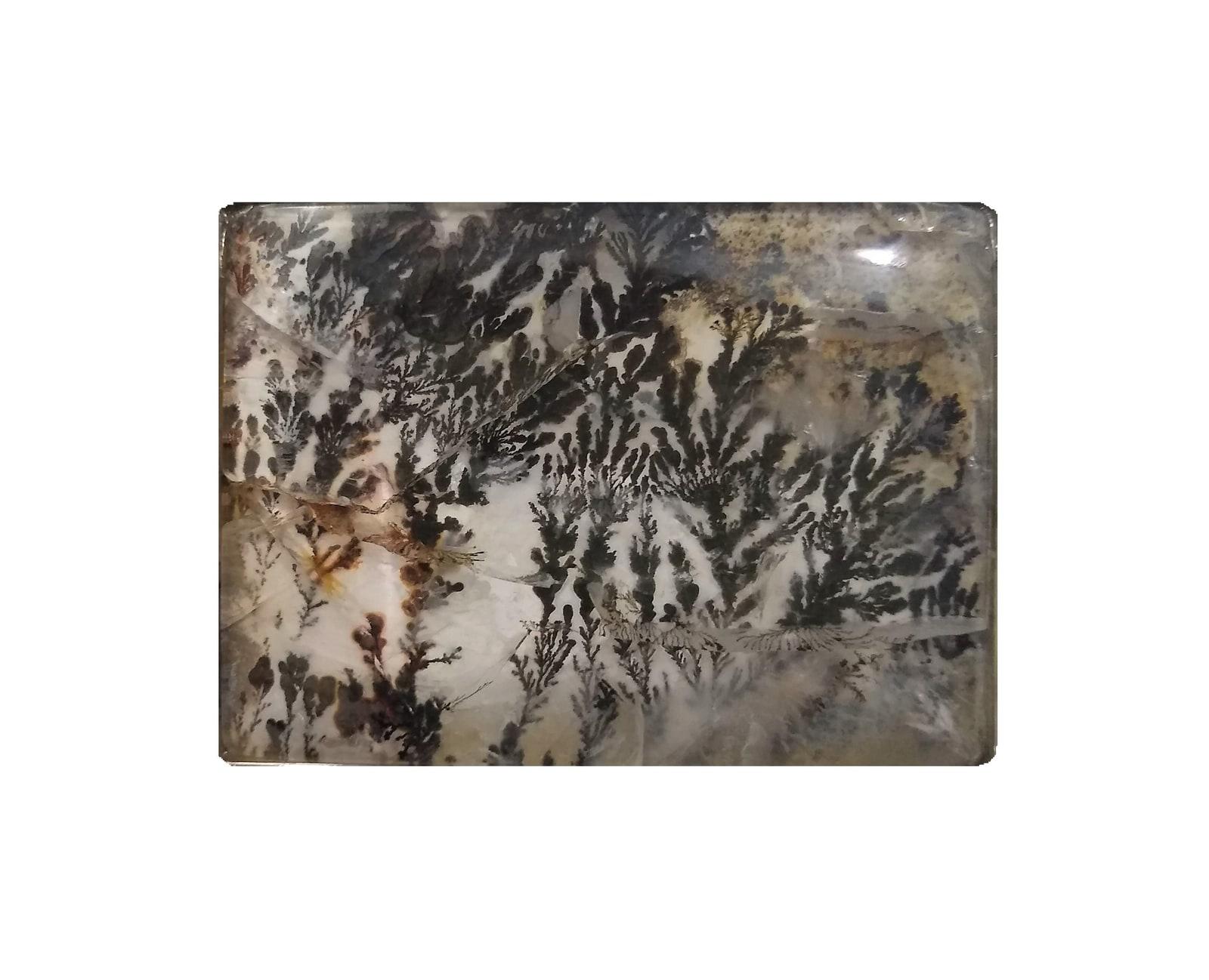 Dendritic Agate specimen - Brazilian dendritic agate