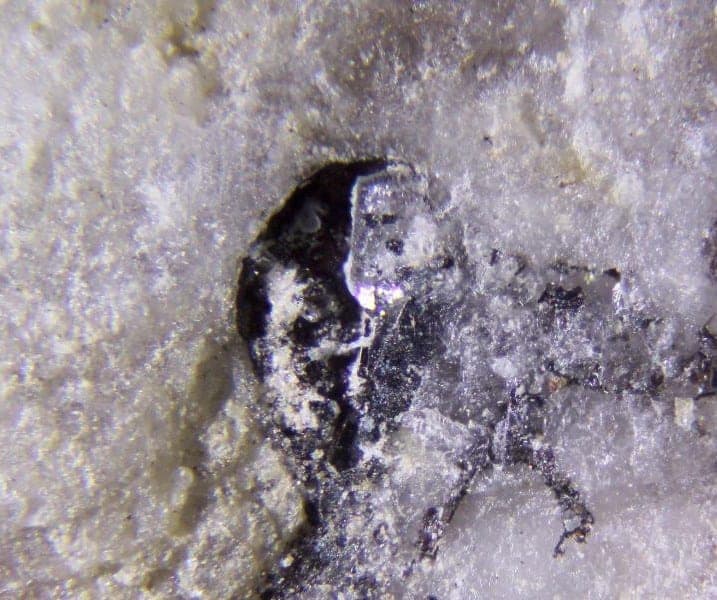 Donharrisite mineral