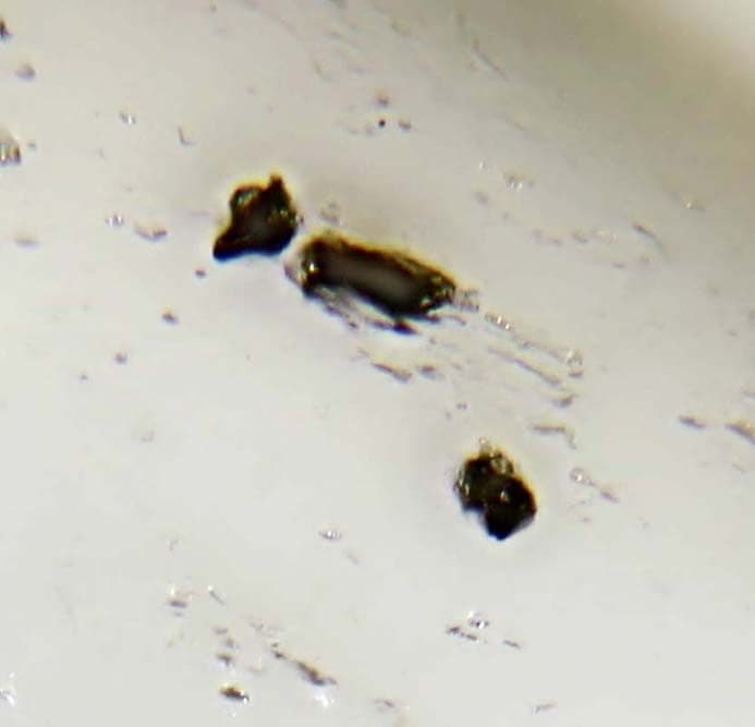 Dzharkenite mineral