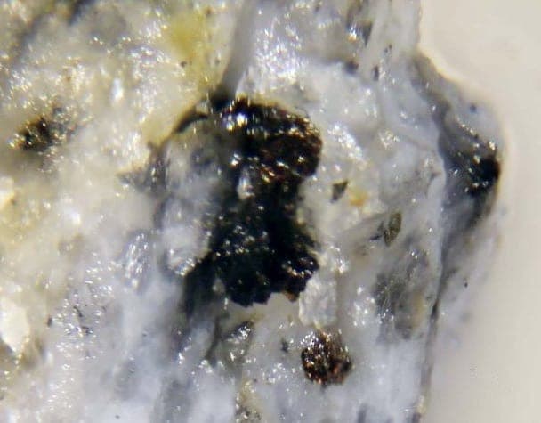 Edgarite mineral