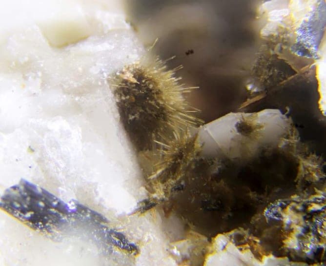 Eggletonite mineral