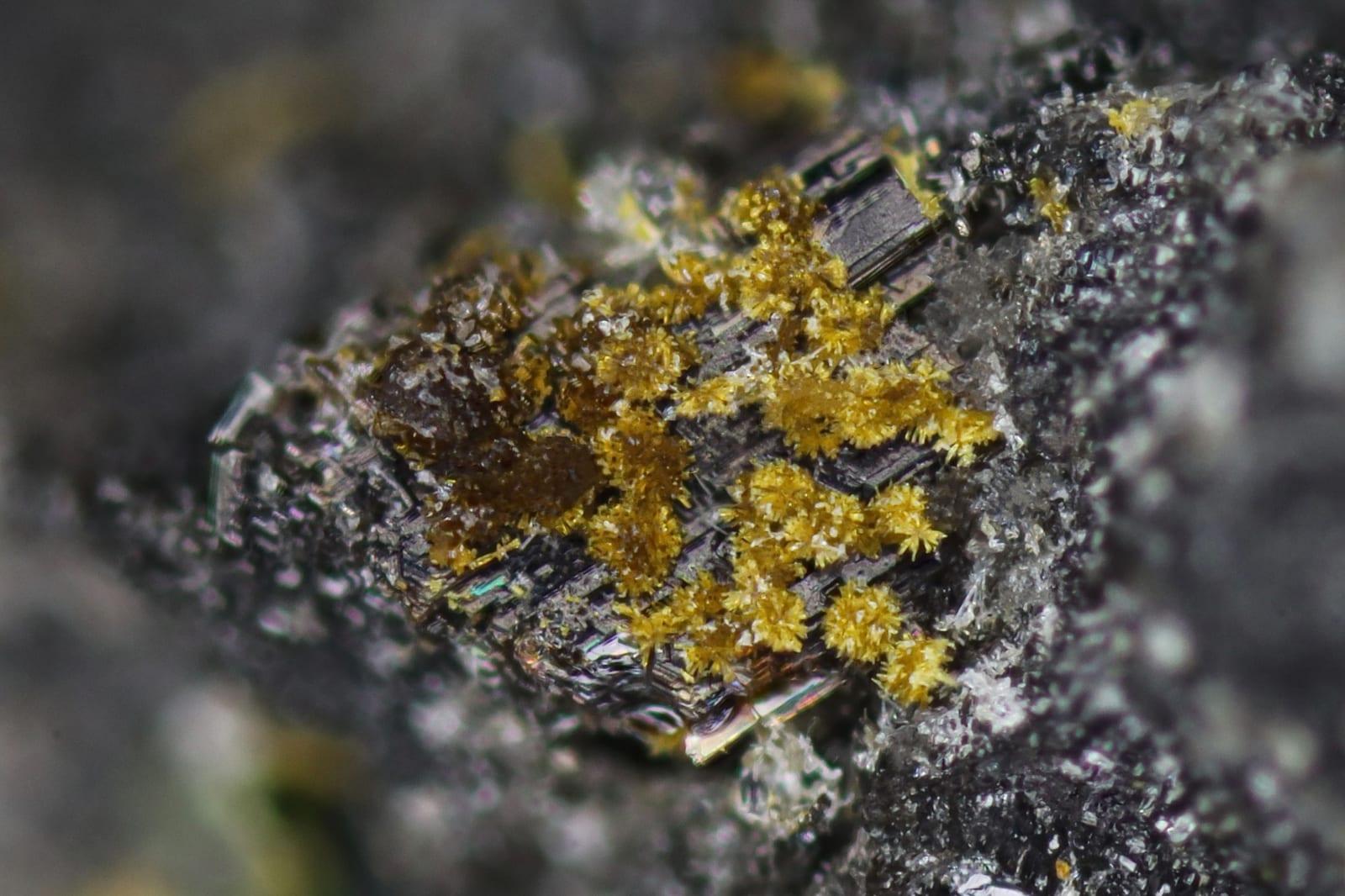 Engelhauptite mineral