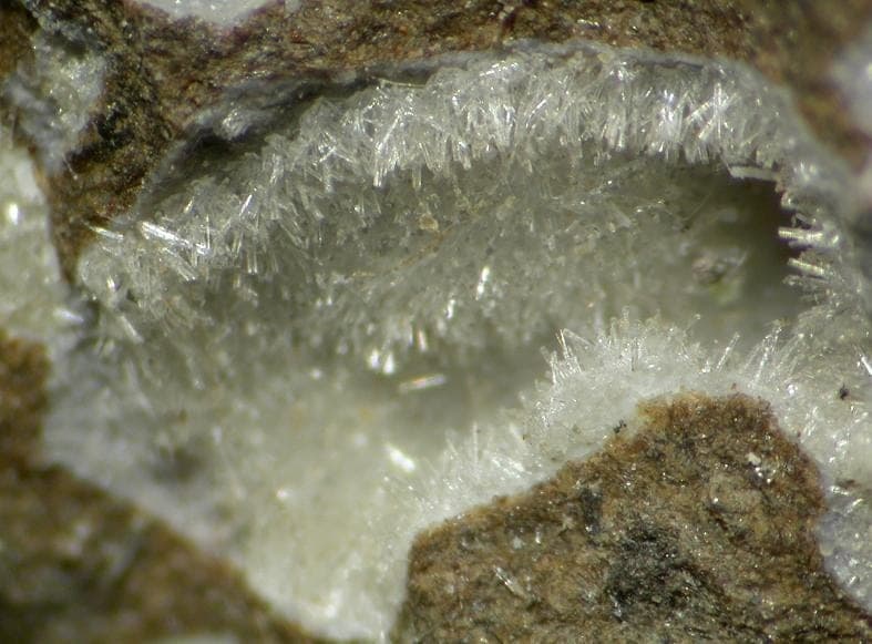 Erionite-K mineral — Erionite K 91981